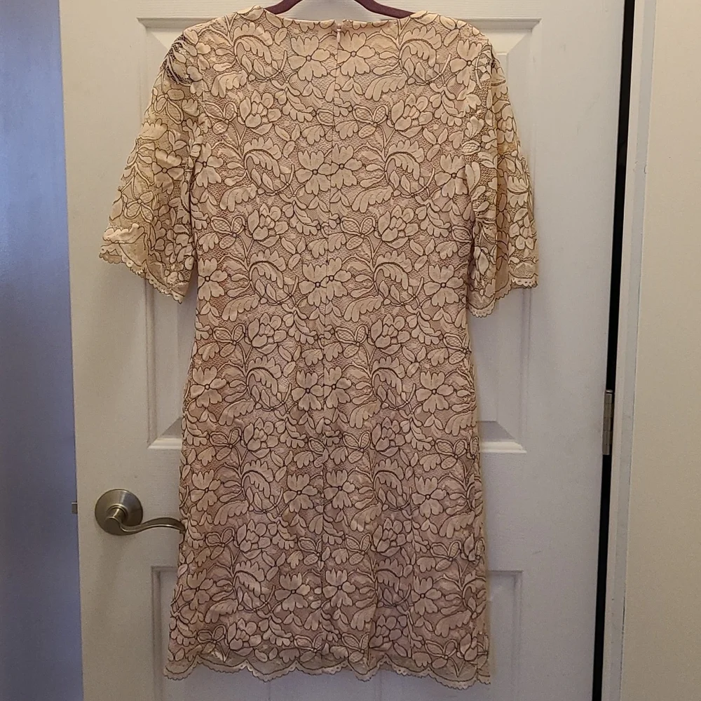 Pink laced Spring Dress - Picture 4 of 4